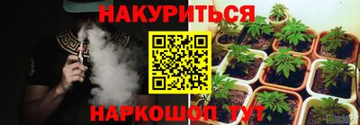 сатива Лесосибирск