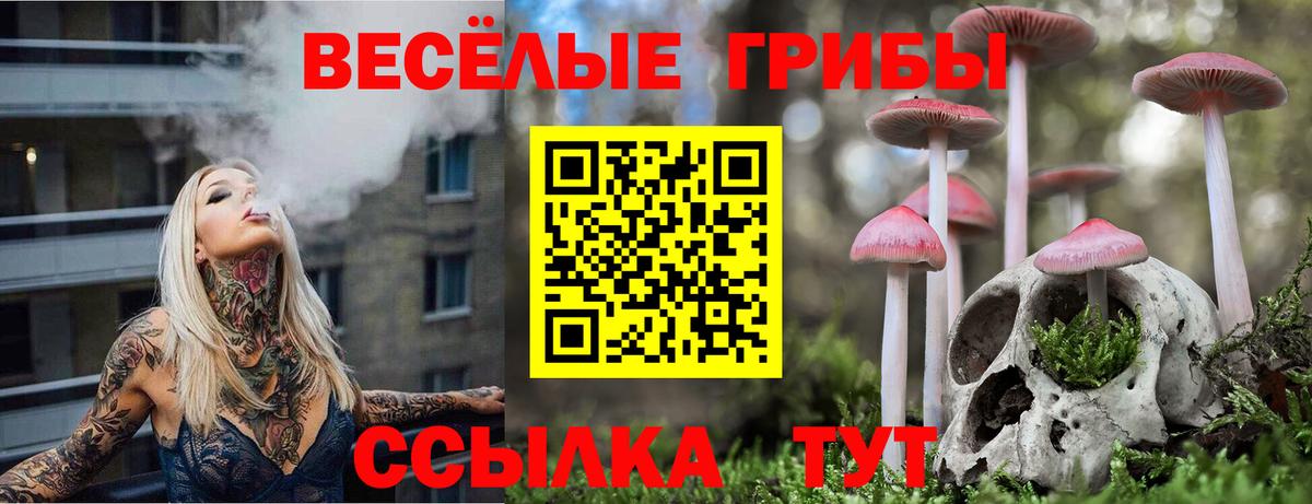 Галлюциногенные грибы мицелий  Вход с VPN  Долгопрудный  Псилоцибиновые грибы MAGIC MUSHROOMS 